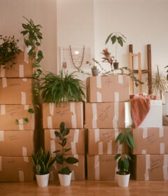 entreprises débarras